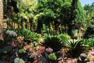 175b. funchal-monte tropical garden.jpg