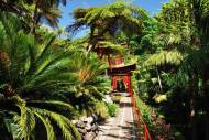 176. funchal-monte tropical garden.jpg