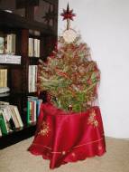 Vyzkoušejte živý vánoční stromek <img align=