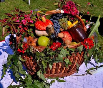 vegan-fruit-basket-391414_640-autor-mhy-zdroj-pixabay.jpg